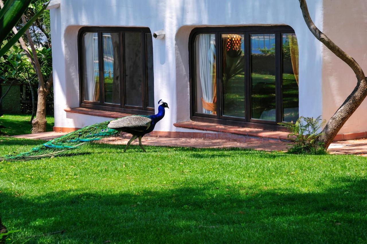 Arbatax Park Resort - Ville Del Parco Exterior foto